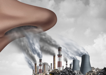 Building a Sustainable Bangladesh: Nature-Based Solutions for Climate Resilience