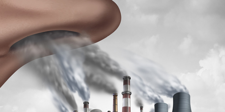 Building a Sustainable Bangladesh: Nature-Based Solutions for Climate Resilience